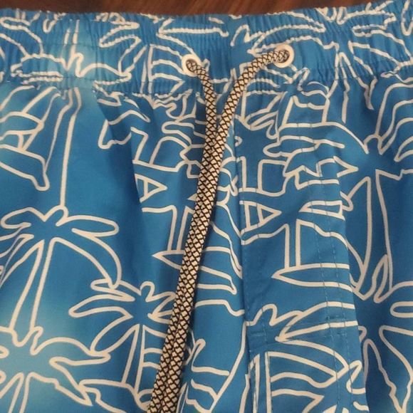 NWOT PACSUN SWIM TRUNKS - Picture 3 of 5